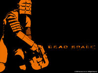 8020 dead space