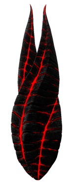 Tau Volantis Red Marker