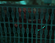 DSE-Chp3-Survivor 2.png