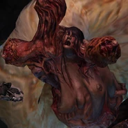 The Nest.png (863 KB) The Nest's evident female traits.