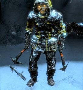 DS3-SCAF-SS-W-F.jpg