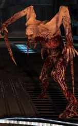 Männlicher Zivilist