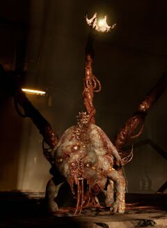 An Enhanced Lurker in .