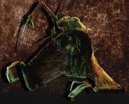 Contaminator.jpg (1,05 Mio)