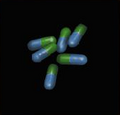 Antibio.png