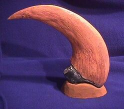 DINO UTAHRAPTOR CLAW BASE