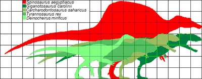 Scale of largest theropods by MASS