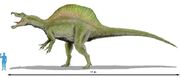 Spinosaurus scale 2