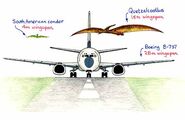 Airplane Quetzalcoatlus