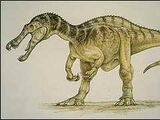 Suchomimus