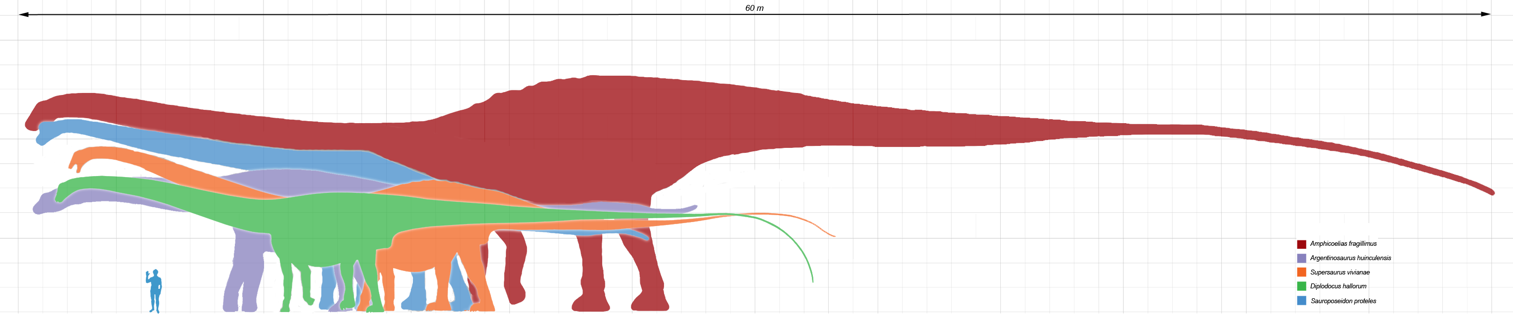 Longest dinosaurs1.png