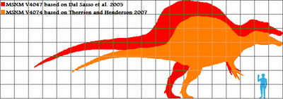 Estimates of Spinosaurus size