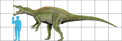 Irritator scale