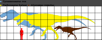 Tyrannosaurus and Tarbosaurus scale