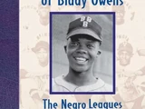 The Journal of Biddy Owens