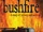 Bushfire