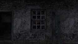 Ghost Window.jpg