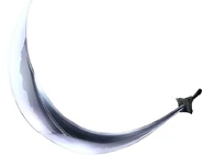 KatanaAfro.jpg (37 kB) Katana de Afro