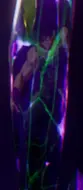 Cameo en Trunks VS Silver