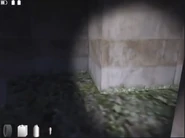 The surface level of the maze.