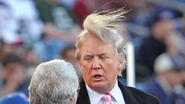 Hair