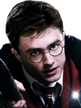 Portrait.harrypotter