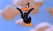 Flight