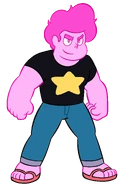 Steven Pink State.png (539 KB) Pink State