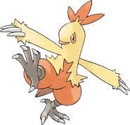 256-Combusken.png (755 KB) Combusken
