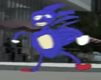 Sanic cameo.png (238 KB) Sanic