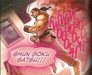 Shun Goku Satsu/Raging Demon