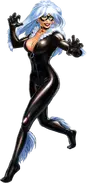 Black Cat Suit.webp (115 KB) Suit