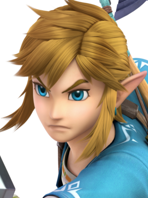 Link icon in 2023  Zelda art, Anime character design, Legend of zelda