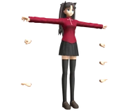 3D Model used in DBX (From Fate/unlimited codes)