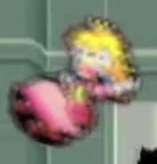 Cameo in Haggar VS Zangief (Sprite from Super Princess Peach)