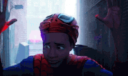 Spider-Camouflage
