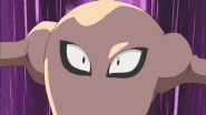 Hitmonlee Blaze Kick1.gif (999 KB) Blaze Kick