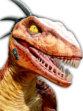 Portrait.riptor