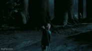 Harry Potter Patronus.gif (6.34 MB) Patronus