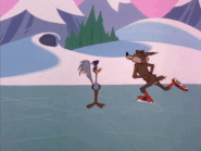 Ice Skates