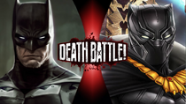 Bat VS Panther