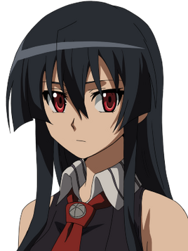Portrait.akame