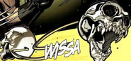 Skull Bolas