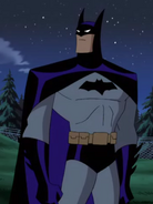 Batman in Batman: Animated Series and Justice League series