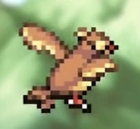 Pidgey cameo.png (126 KB) Pidgey