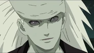 Dual Rinnegan