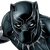 Icon.blackpanther