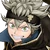 Icon.asta