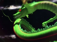 Shenron cameo.png (3.08 MB) Shenron