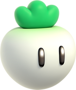 Turnip